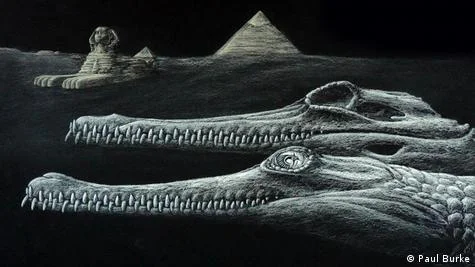 Cocodrilo extinto Guiza Egipto Fösil