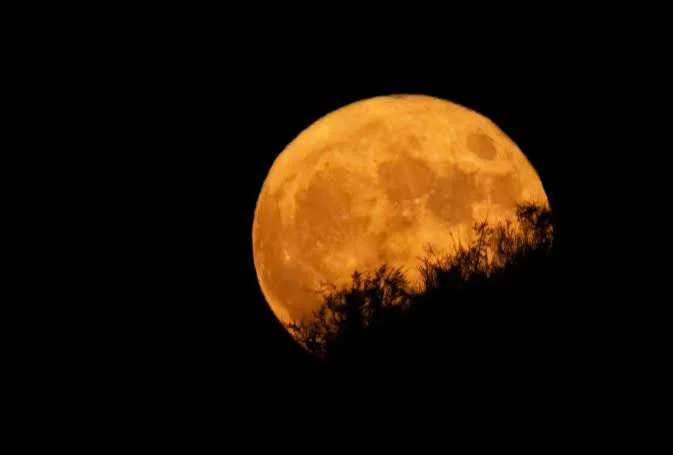 luna de cosecha