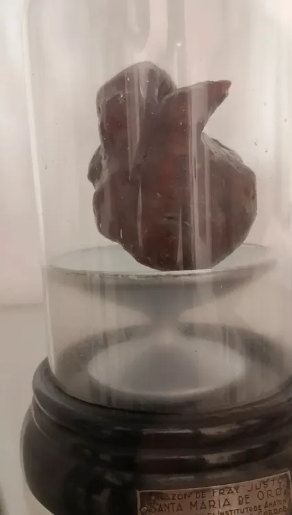 Screenshot_2025-07-09-15-01-43-395_com.google.android.apps.nbu.files (1)