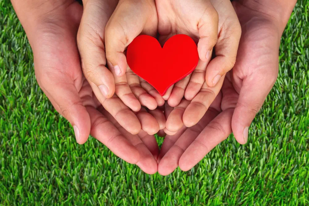 red-heart-shape-family-member-s-hands-holding_1