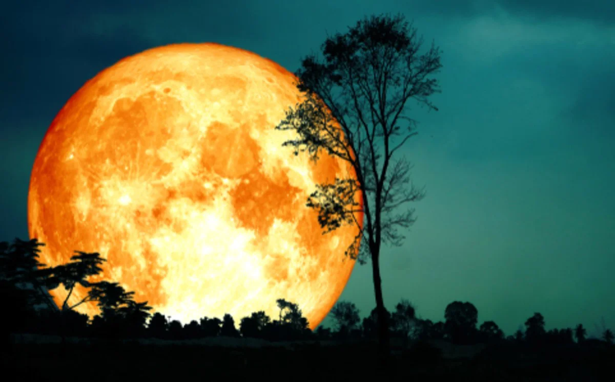 Luna de la Cosecha