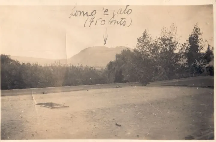 Antigua fotos de la pileta de la Bodega Las Lomas