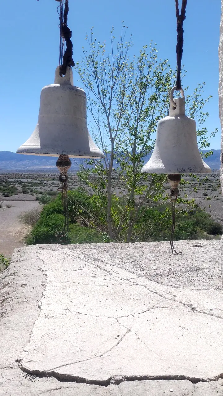 Screenshot_20250403-195010