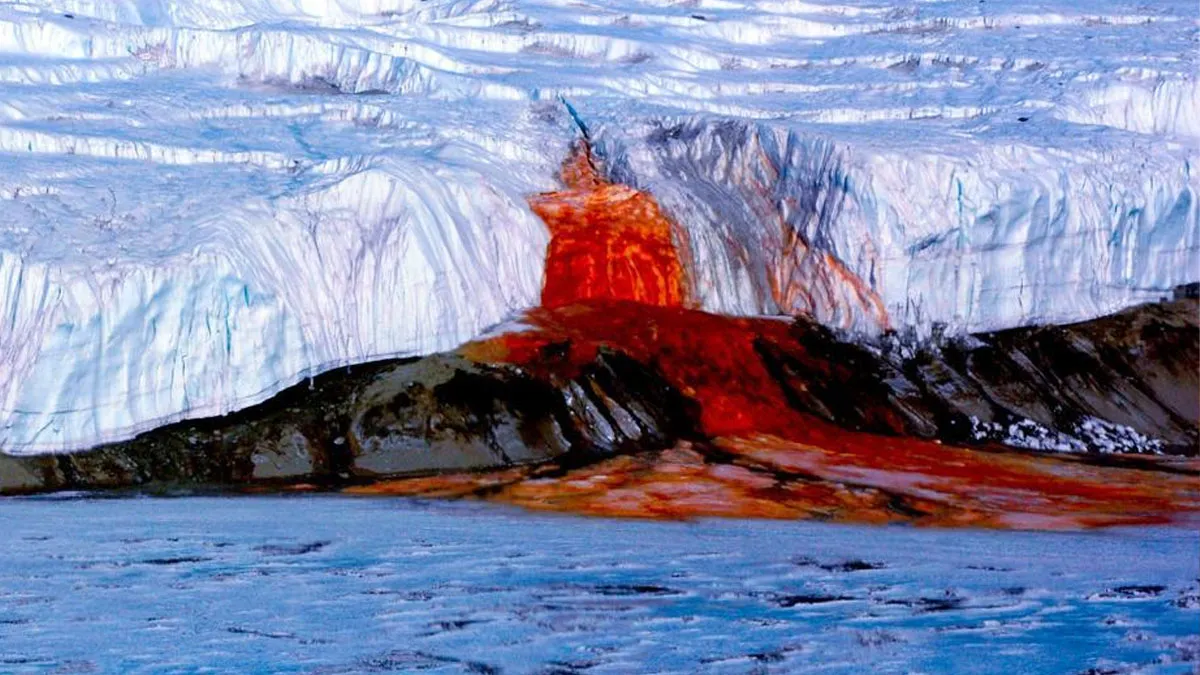 cataratas de sangre