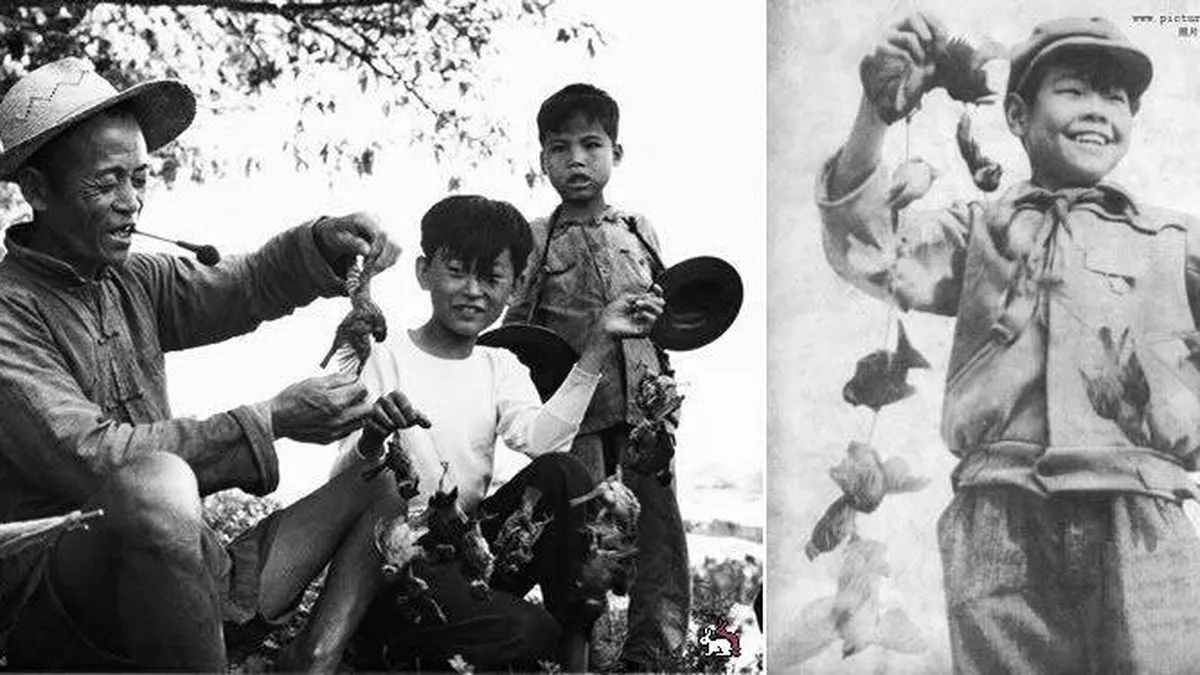 f.elconfidencial.com_original_71b_61c_4b0_71b61c4b04de441459a2038c584f9b19